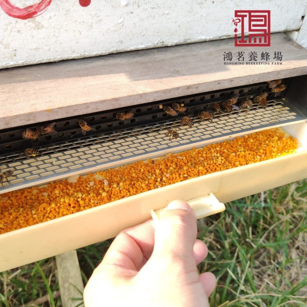 蜂花粉的4大功效及台灣常見3大市售蜂花粉 鴻茗養蜂場