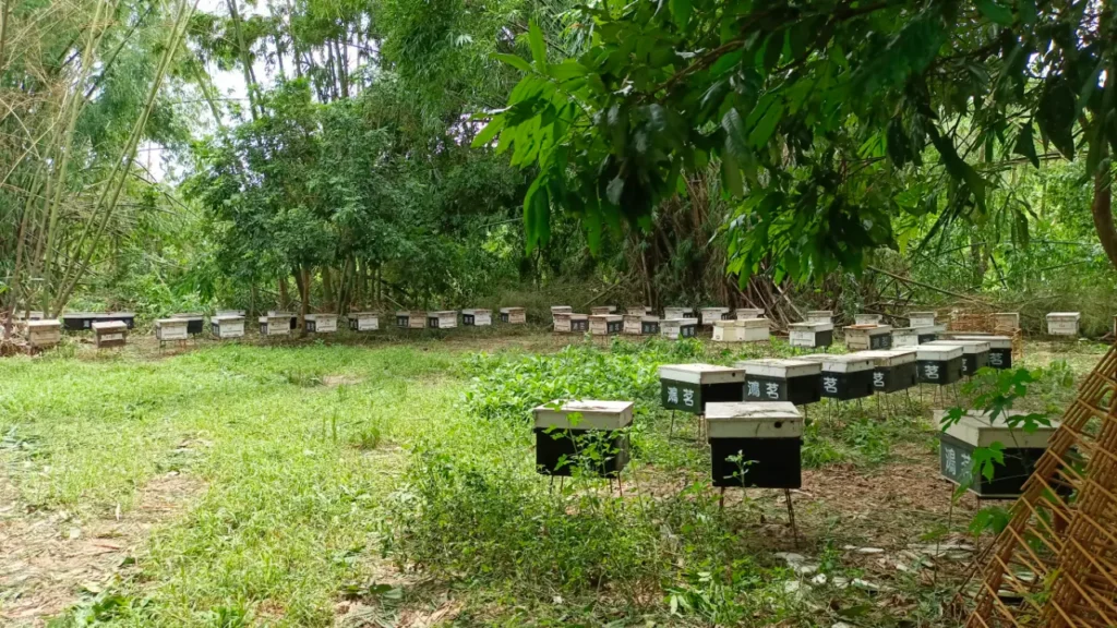 鴻茗養蜂場位於台南白河的天然養蜂基地,四周環繞純淨無污染的自然生態,是孕育優質純蜂蜜的絕佳環境。